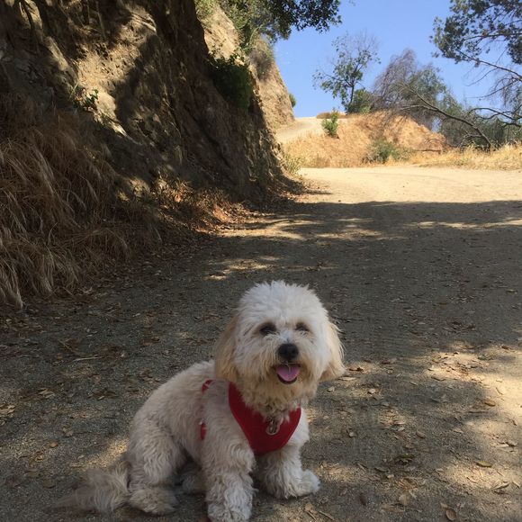 Meet your Posher, Rocio - Picture 1 of 1